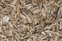 biomass boilers Whinmoor